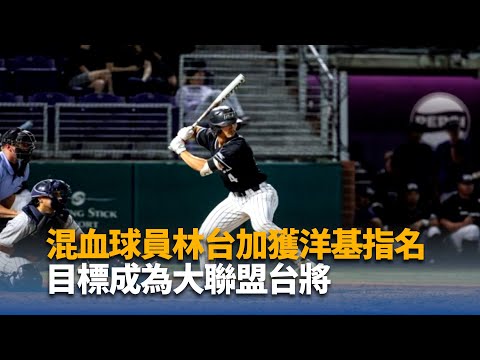 混血球員林台加獲洋基指名 目標成為大聯盟台將