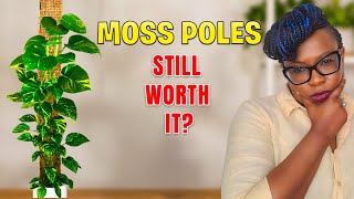 Everyone is Quitting Moss Poles. Should You?