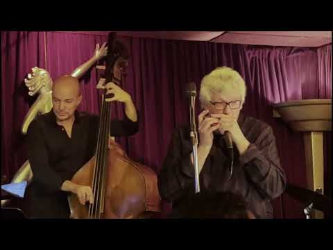 A Lullaby For Benny - Hendrik Meurkens Samba Jazz Quartet