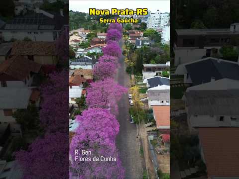 Nova Prata-RS na Serra Gaúcha #serragaucha #riodasantas #br470 #pontedosarcos #gramado #bento #sul