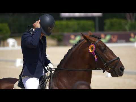 Visita oficial à XII Feira do Cavalo de Ponte de Lima 2018