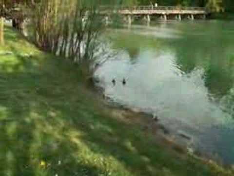 Hotel Stari Grad - Otočec ob Krki, Slo