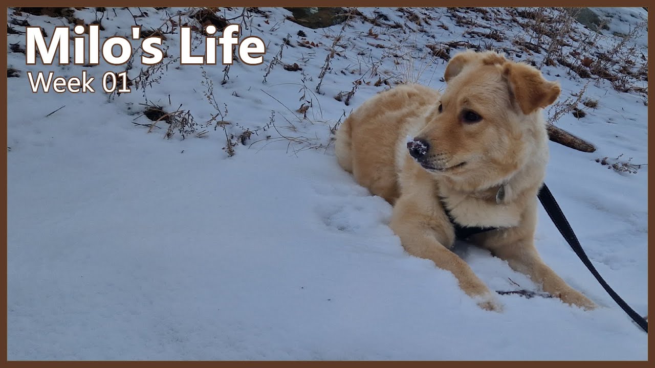 Eating Sticks | Week 01