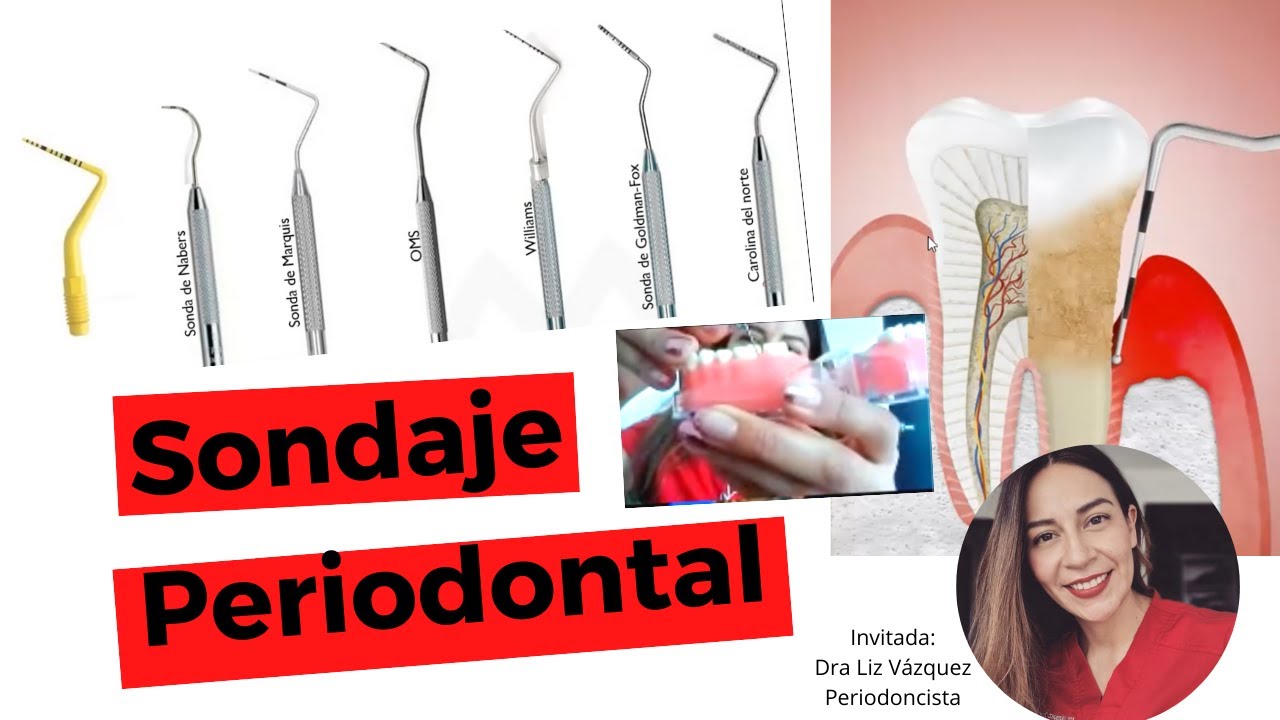 Liz Estela Vazquez Cruz-3