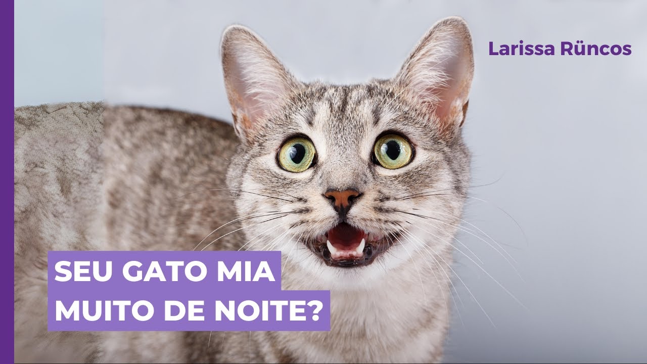 MIADOS NOTURNOS, O QUE PODE SER?