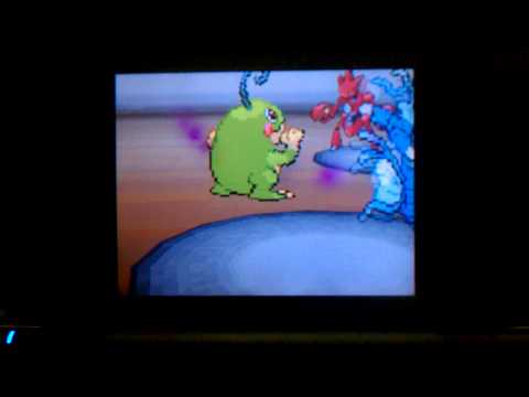 Pokemon VGC 2013 Autumn Regionals round 4