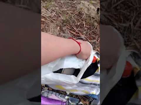 El lago de los cisnes Maldonado