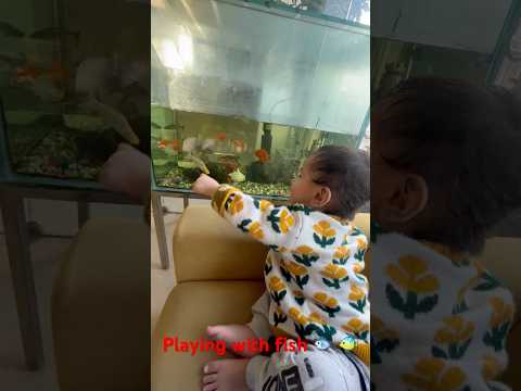 Mizan Playing with Fish #childhood #childhoodmemories #childhoodmoments #Mizan #mizan #fishingvideo
