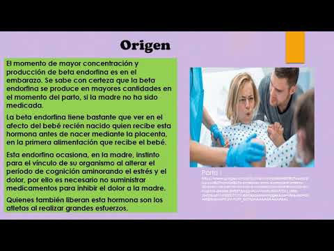 Neurotransmisores   Endorfinas