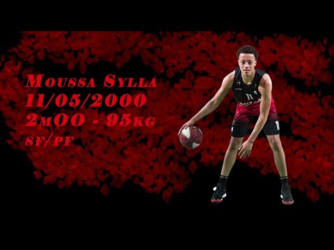 Moussa Sylla 2019-2020 player highlights