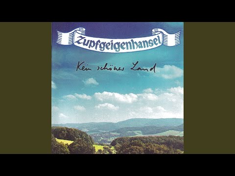 Zogen einst fünf wilde Schwäne