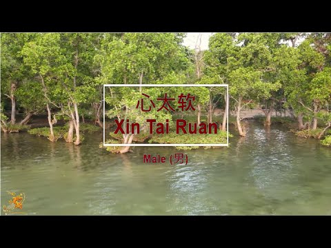 心太软 (Xin Tai Ruan) Male Version - Karaoke mandarin with drone view