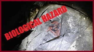 Abandoned Like Lambs to the Slaughter