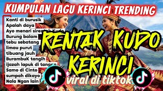Download lagu DJ rentak Kudo kerinci/kumpulan lagu kerinci Jambi trending  mp3