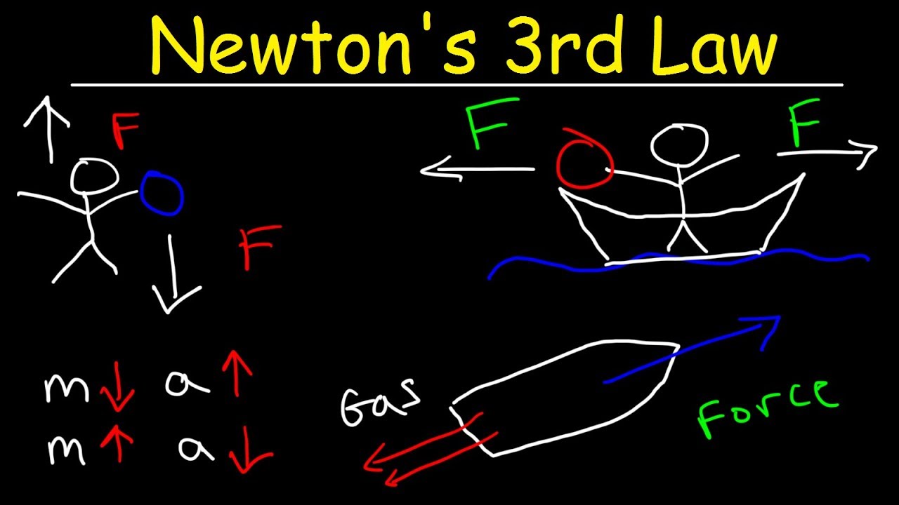 Newton's Third Law of Motion - Action and Reaction Forces