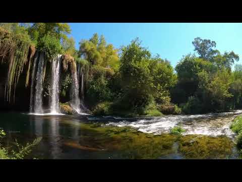 copyright free music | Copyright free nature video Download | Copyright free background video nature