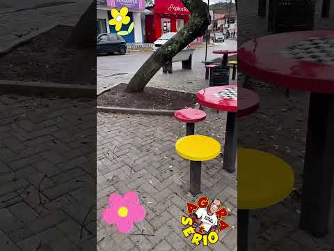 JUQUITIBA A CIDADE AONDE A ESTAÇÃO DA PRIMAVERA NÃO SIGNIFICA NADA NADA NADA