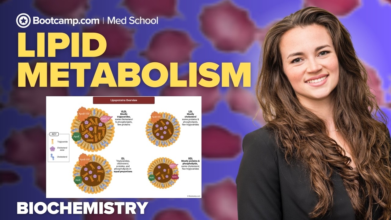 Biochemistry Chapter 9 | Lipid Metabolism: Digestion, Transport, Synthesis, and Disorders