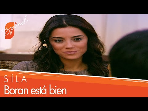 Good news arrived from Boran - Sila The Scenes