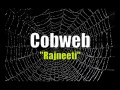 Cobweb Rajneeti Lyrics
