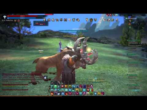 Tera Online - Cтрим #47