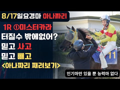 8/17 일요-윤택-경마 아나짜리 하나하나 소중히 내용을 담아놨습니다