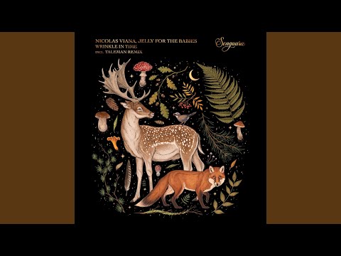 Wrinkle in Time (Taleman Remix)