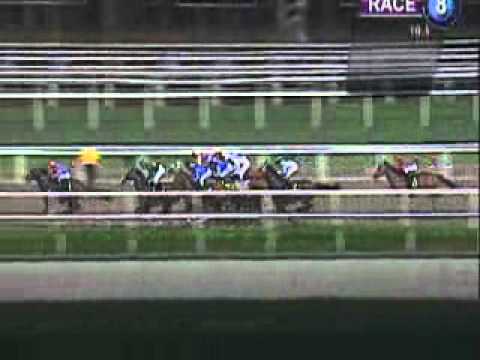 20110610 Singapore Race Meeting Race 8 Video