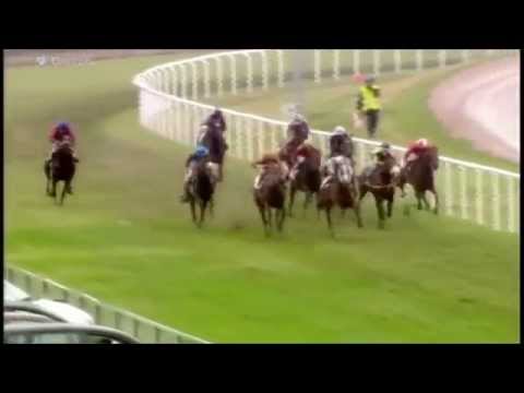 Løb 6, 9/8-14 (sammendrag) / NKI Racing Arena Aalborg