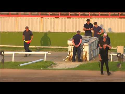 British Bred St Leger - Affleck Bolt