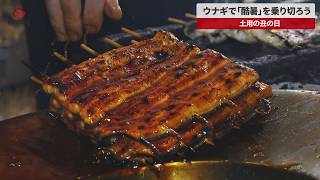 【速報】ウナギで「酷暑」を乗り切ろう 土用の丑の日
