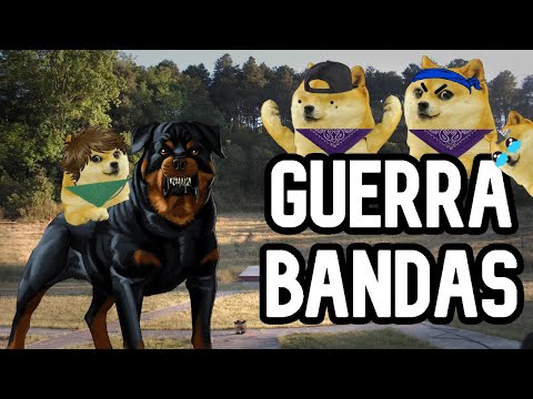 Gang warfare with entitled children - Threads with Cheems