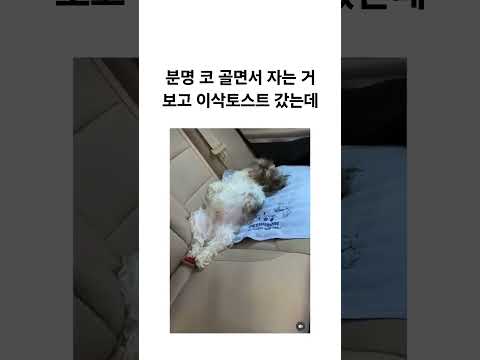 자다가도 벌떡 일어나는 이삭토스트