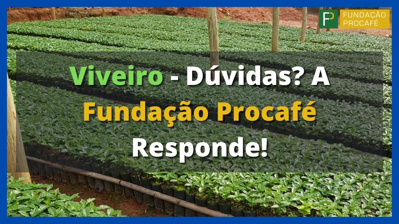 Viveiro - Dúvidas? A Fundação Procafé Responde