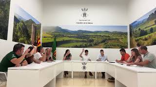 Ple extraordinari del 24 de juliol de 2025