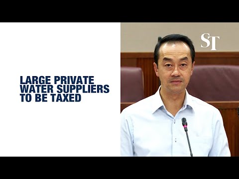 askST: Who will be affected by the new water taxes come 2025? | The Straits Times