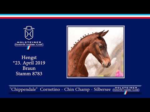 Holsteiner Elite-Fohlenauktion 2019 - Nr. 18 Chippendale v. Cornetino-Chin champ