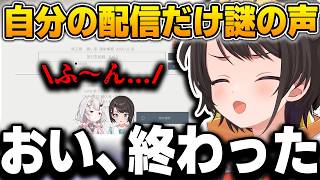 同じ場面を見比べると声が消えていた…スバル視点だけに残った不可解な音声【大空スバル/百鬼あやめ/ホロライブ/切り抜き】