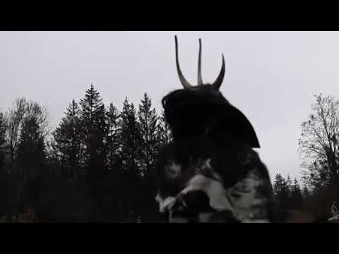 Stoa Riegl Gfrasta Krampustrailer 2022