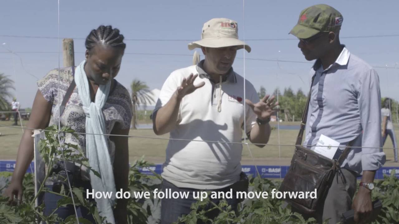 Improving Sustainable Forest Management; A Brazil-Mozambique Knowledge Exchange