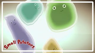 Science song 🥔🎵 - Compilation - Small Potatoes - Kids Songs 