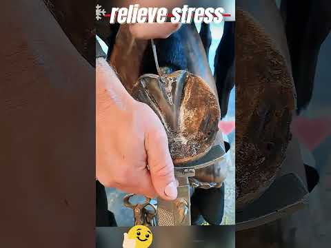 Go to bed after you finish watching.#asmr #horse #comfort #relaxation