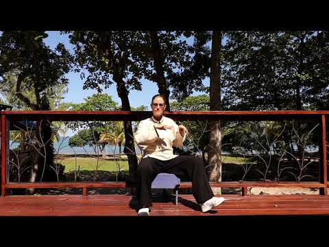 Seated Tai Chi Module 02 Waving Hands Like Clouds and Single Whip