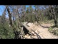 BikeStoreRacingTeam FirenzeFreeride