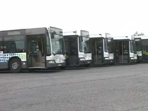 Transport Nîmois: Terreur au Chemin-bas d'Avignon!