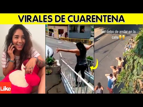 The funniest videos of this quarantine