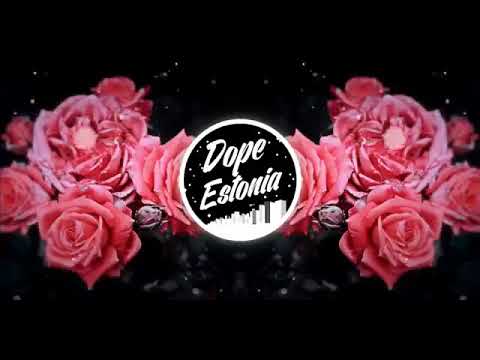ROPZ - EI Saa ft. Karin (BASS BOOSTED) Dope Estonia