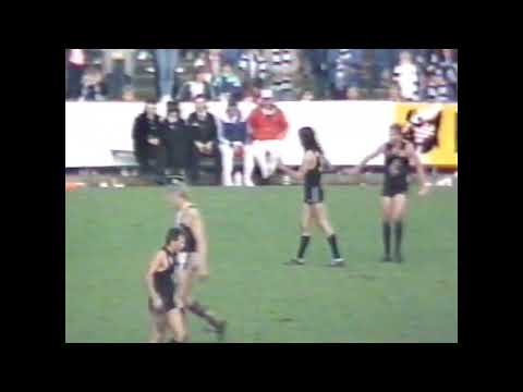 1986 Round 14 - Carlton vs St Kilda - Princes Park - Carlton Highlights