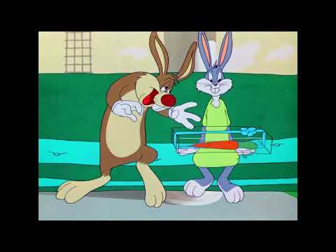 Merrie Melodies 1947 Con el Cabello Erizado Hare Splitter (2 de 3)