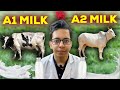 A1 Milk V/S A2 Milk | Which Milk is best ? | Dt.Bhawesh